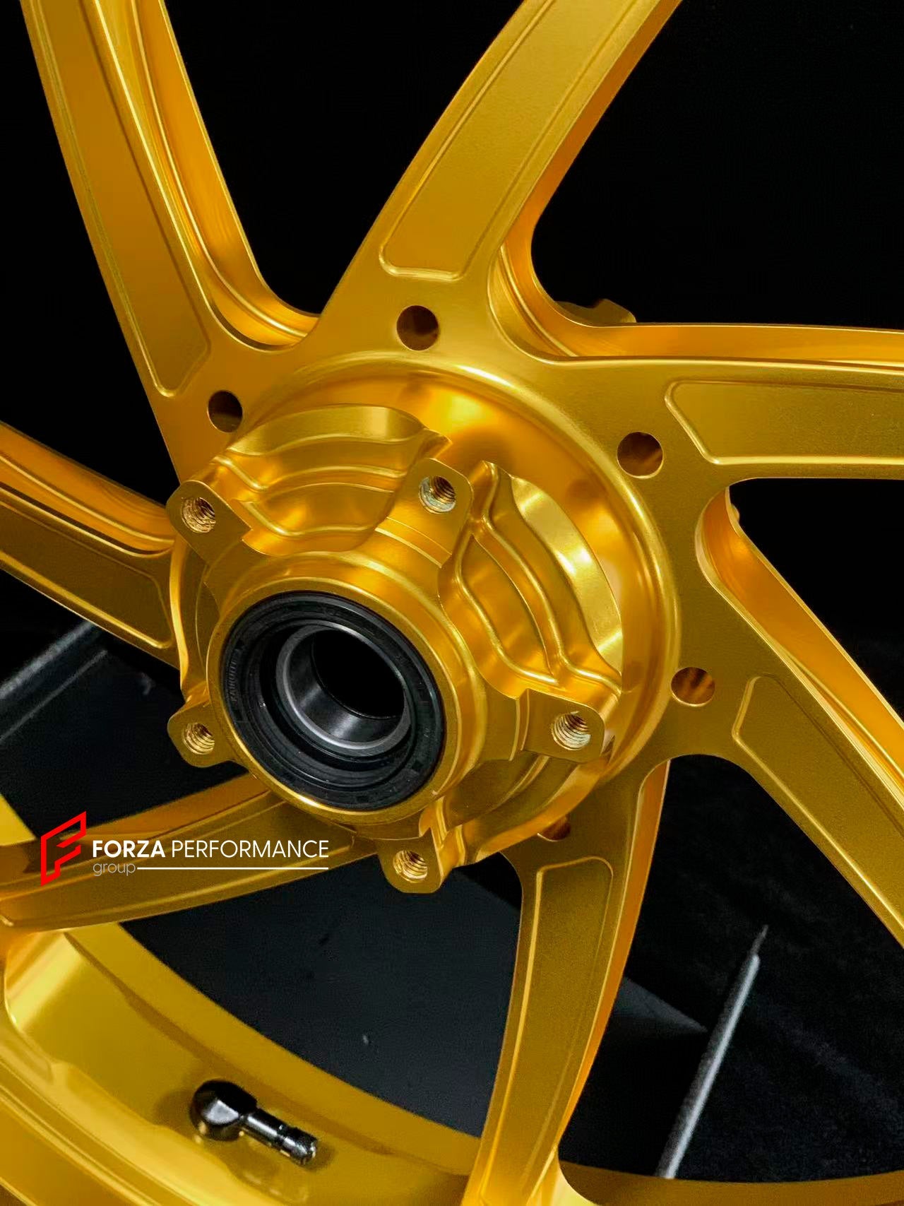 We manufacture premium quality forged motorcycle wheels rims for DUCATI HYPERMOTARD 698 MONO 950 950 RVE 950 SP in any design, size, color.

Wheel sizes (motorcycle spec):

Front: 3.5 x 17

Rear: 5.5 x 17

Weight:

Front: 3.8 kg (6.61 lbs)

Rear: 4.15 kg (8.82 lbs)


Finishing: Satin Gold

Forza Performance Group engineers and manufactures each forged motorcycle wheel individually per order. This ensures precise fitment, uncompromised strength, and unique styling. Whether for racing, touring, or daily use 
